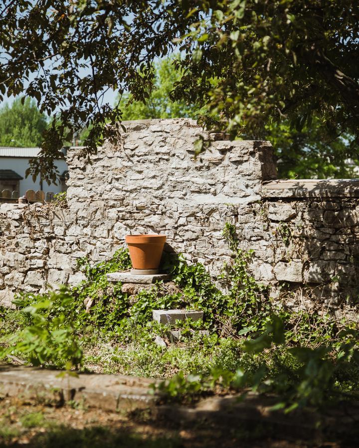 The Mansion At Elfindale Bed & Breakfast Springfield Ngoại thất bức ảnh